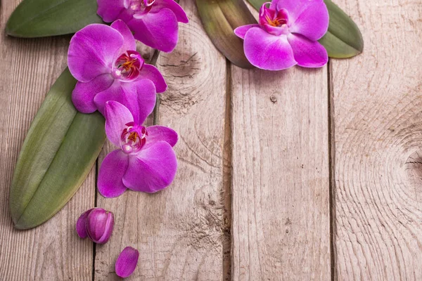 Eski ahşap arka plan üzerinde orkide — Stok fotoğraf