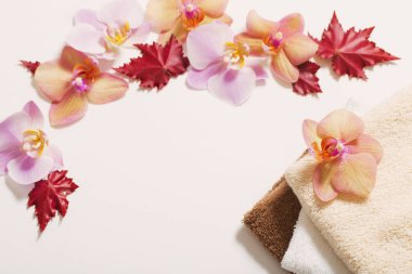 Orkide beyaz zemin üzerine