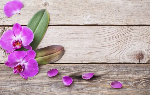Orchideje na staré dřevěné pozadí — Stock fotografie