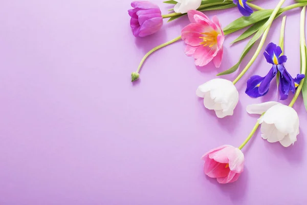 Hermosas flores sobre fondo de papel — Foto de Stock