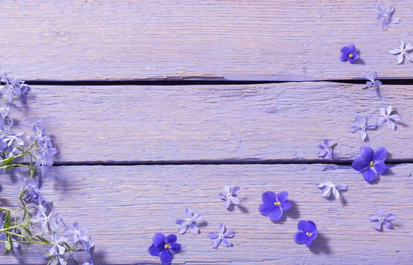 Flores de primavera sobre fondo de madera —  Fotos de Stock