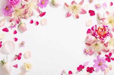 beyaz zemin üzerine yaz çiçek