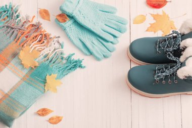 Kış Ayakkabı ve eldiven Beyaz ahşap zemin üzerinde mavi