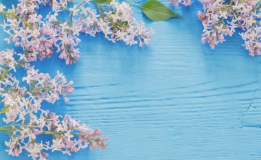 Leylak mavi ahşap zemin üzerine