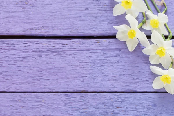 Daffodils on violet wooden background — Stock Photo, Image