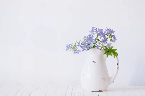 Maagdenpalm bloemen op witte achtergrond — Stockfoto