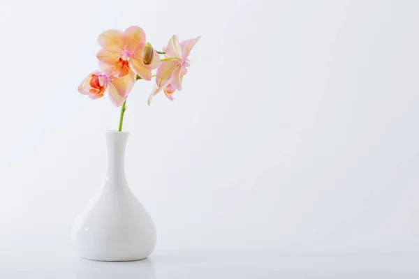 Belas orquídeas em vaso branco na mesa branca — Fotografia de Stock