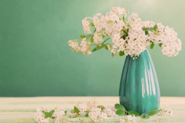 yeşil zemin üzerine beyaz bahar çiçekleri