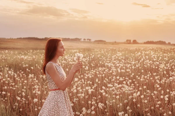 Young girl on dandelions meadow — Stock Photo, Image