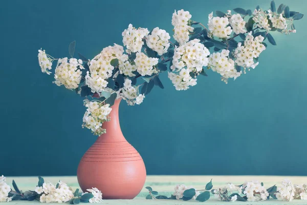 Flores blancas de primavera sobre fondo azul — Foto de Stock