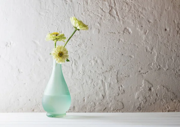 Zinnia blomster på hvid baggrund - Stock-foto