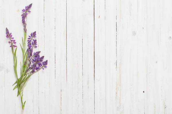 Violet flowers on white wooden background — Stock Photo, Image