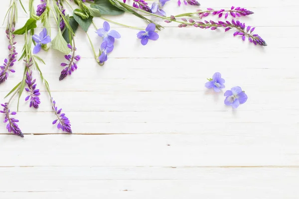Violet flowers on white wooden background — Stock Photo, Image