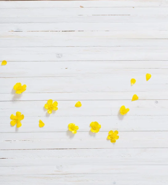 白い木の背景に黄色の花 — ストック写真