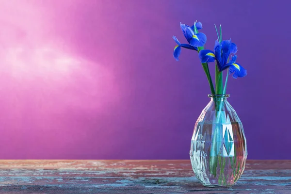 Bodegón con flores de primavera en jarrón — Foto de Stock
