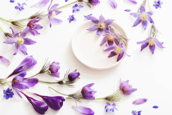 Primavera flores violetas sobre un fondo blanco — Foto de Stock