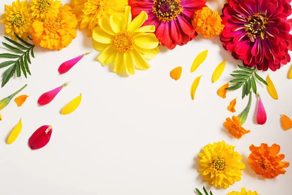 Red and yellow flowers on white background — Stock Photo, Image