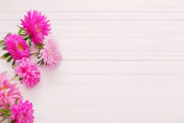 Asters on white wooden background — Stock Photo, Image