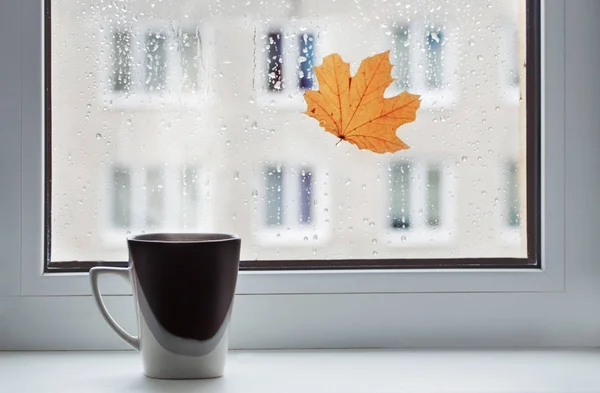 Taza de café en alféizar de la ventana — Foto de Stock