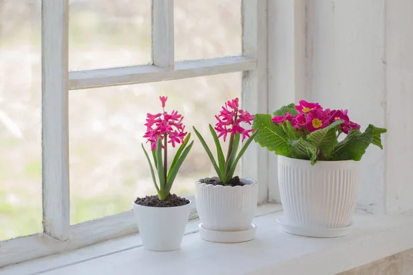 Spring flowers on windowsill — Stock Photo, Image