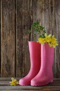 lastik çizmeler ve ahşap arka plan bahar çiçekleri