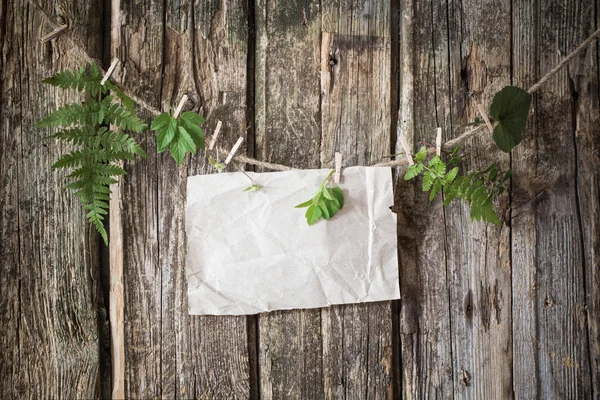 Старий папір з рослинами на дерев'яному фоні — стокове фото