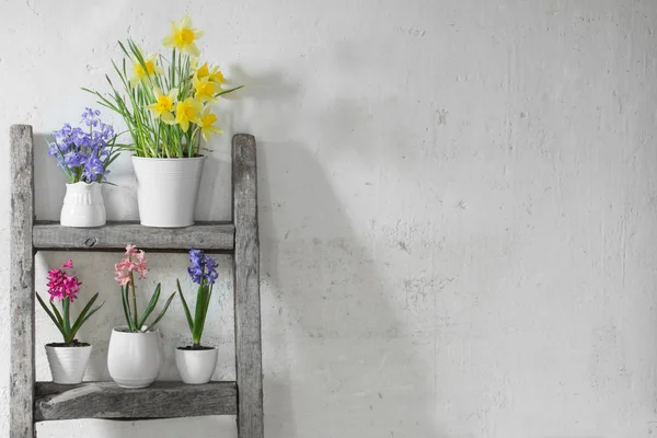 Flores de primavera sobre fondo pared blanca vieja — Foto de Stock