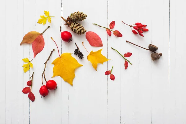 Red berriaes and  autumn leaves on white wooden background — Stock Photo, Image