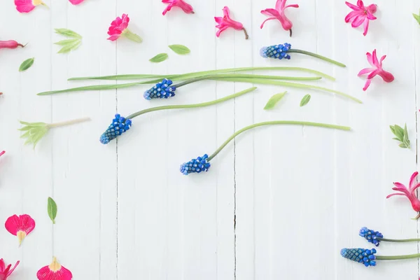 Rosa und blaue Frühlingsblumen auf weißem Holzgrund — Stockfoto