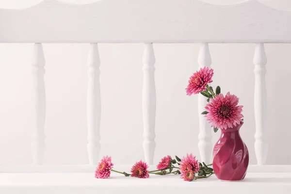 Still life with chrysanthemums on white background — Stock Image Still life with chrysanthemums on white background Stock Picture