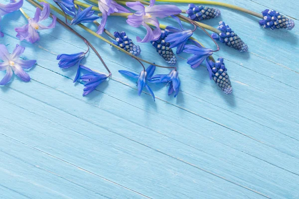 Wiosenne kwiaty na niebieskim drewnianym tle — Zdjęcie stockowe