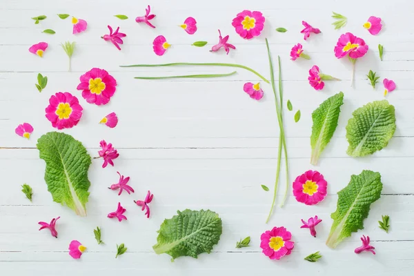 Pink spring flowers on white wooden background — Stock Photo, Image