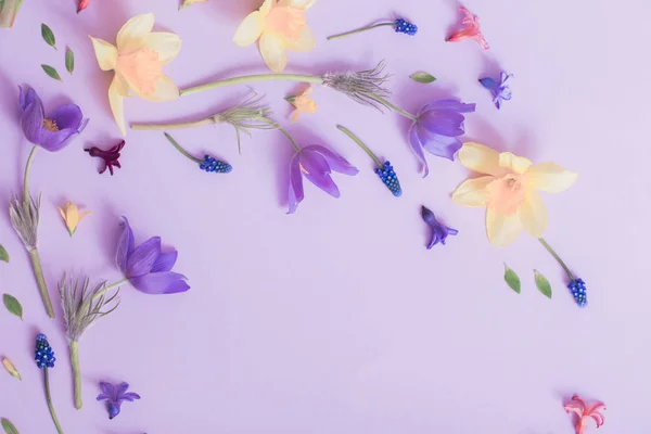 Spring flowers on paper background — Stock Photo, Image