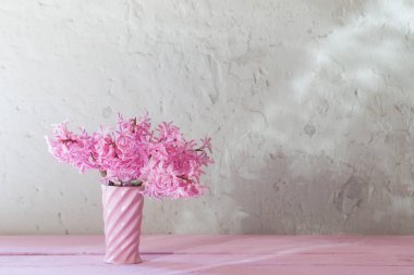 Beyaz arka plan üzerinde vazoda pembe sümbül  