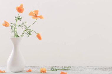 Eschscholzia beyaz aranjman