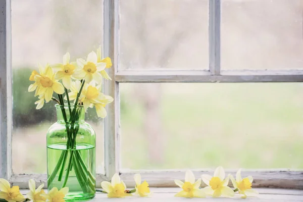 Fiori primaverili sul davanzale della finestra — Foto Stock