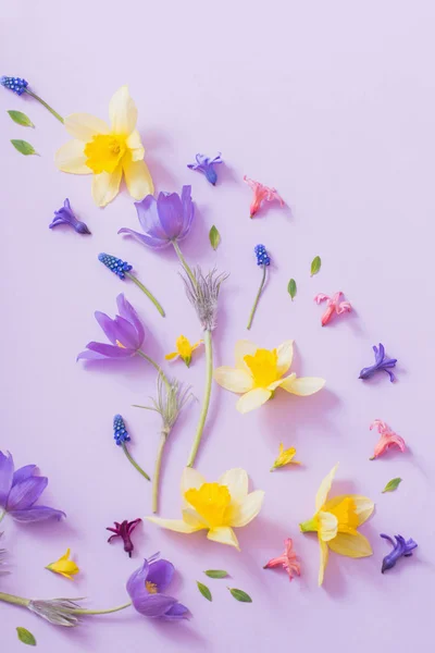 Tavaszi virágok, papír alapon — Stock Fotó