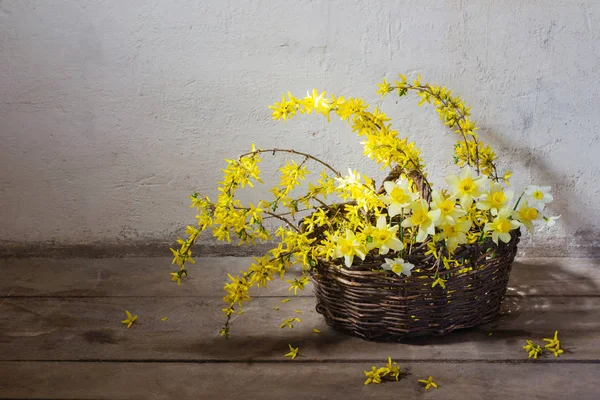 노란 봄 꽃 바구니 배경 오래 된 벽에 — 스톡 사진