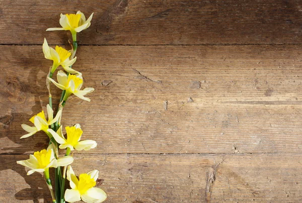 Yellow narcissus on old wooden background — Stock Photo, Image