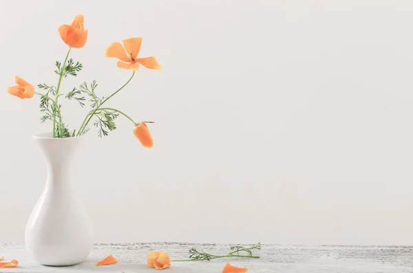 Eschscholzia en vase blanc — Photo
