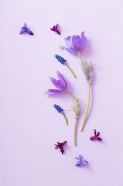 Kağıt arka plan bahar çiçekleri