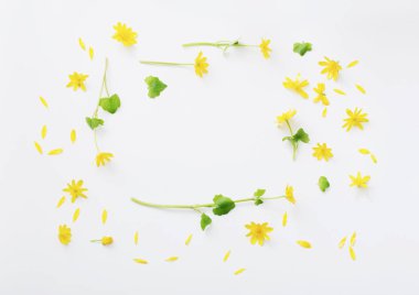 Beyaz arkaplanda sarı çiçekler