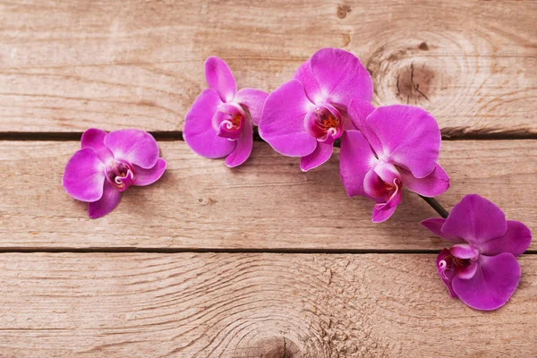 Orquídeas sobre fondo de madera viejo — Foto de Stock