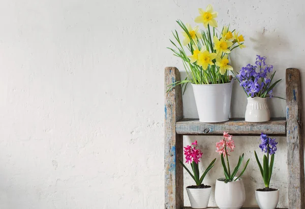 Fleurs de printemps sur fond vieux mur blanc — Photo