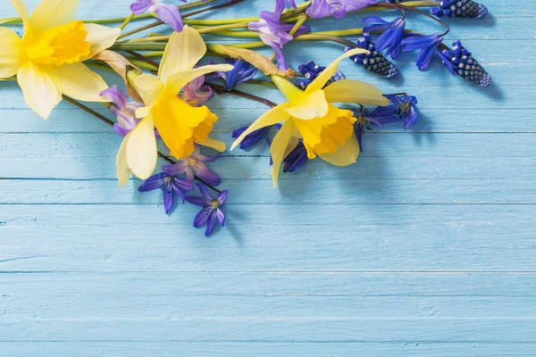 Żółty i niebieski wiosennych kwiatów na podłoże drewniane — Zdjęcie stockowe