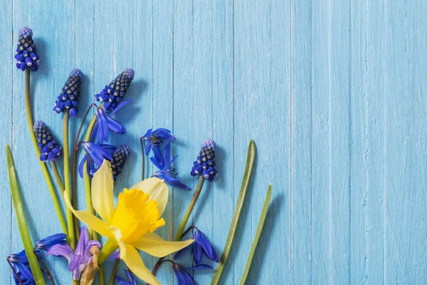 Fleurs printanières jaunes et bleues sur fond en bois — Photo