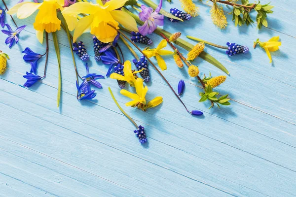 Yellow and blue spring flowers on wooden background — Stock Photo, Image