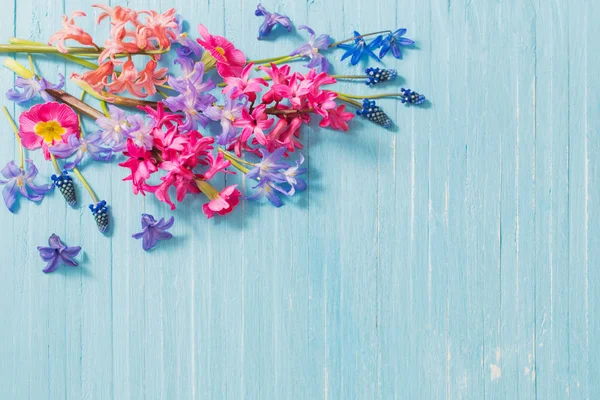 Flores de primavera sobre fondo de madera azul viejo — Foto de Stock