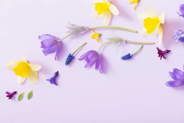 Jarní květiny na papírové pozadí — Stock fotografie