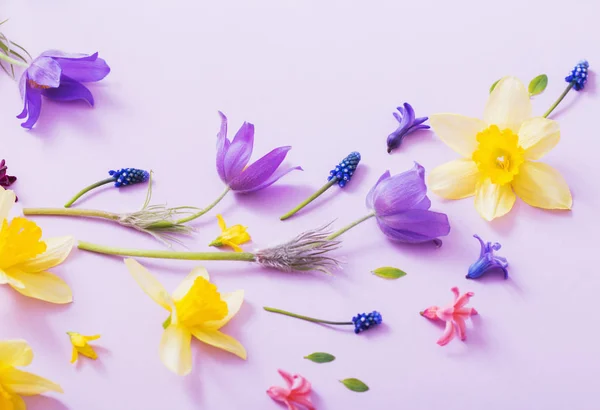 Spring flowers on paper background — Stock Photo, Image